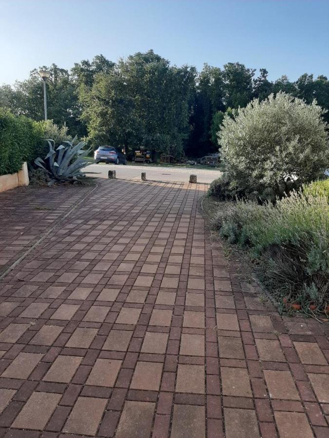 Medo Apartment Novigrad  Luaran gambar