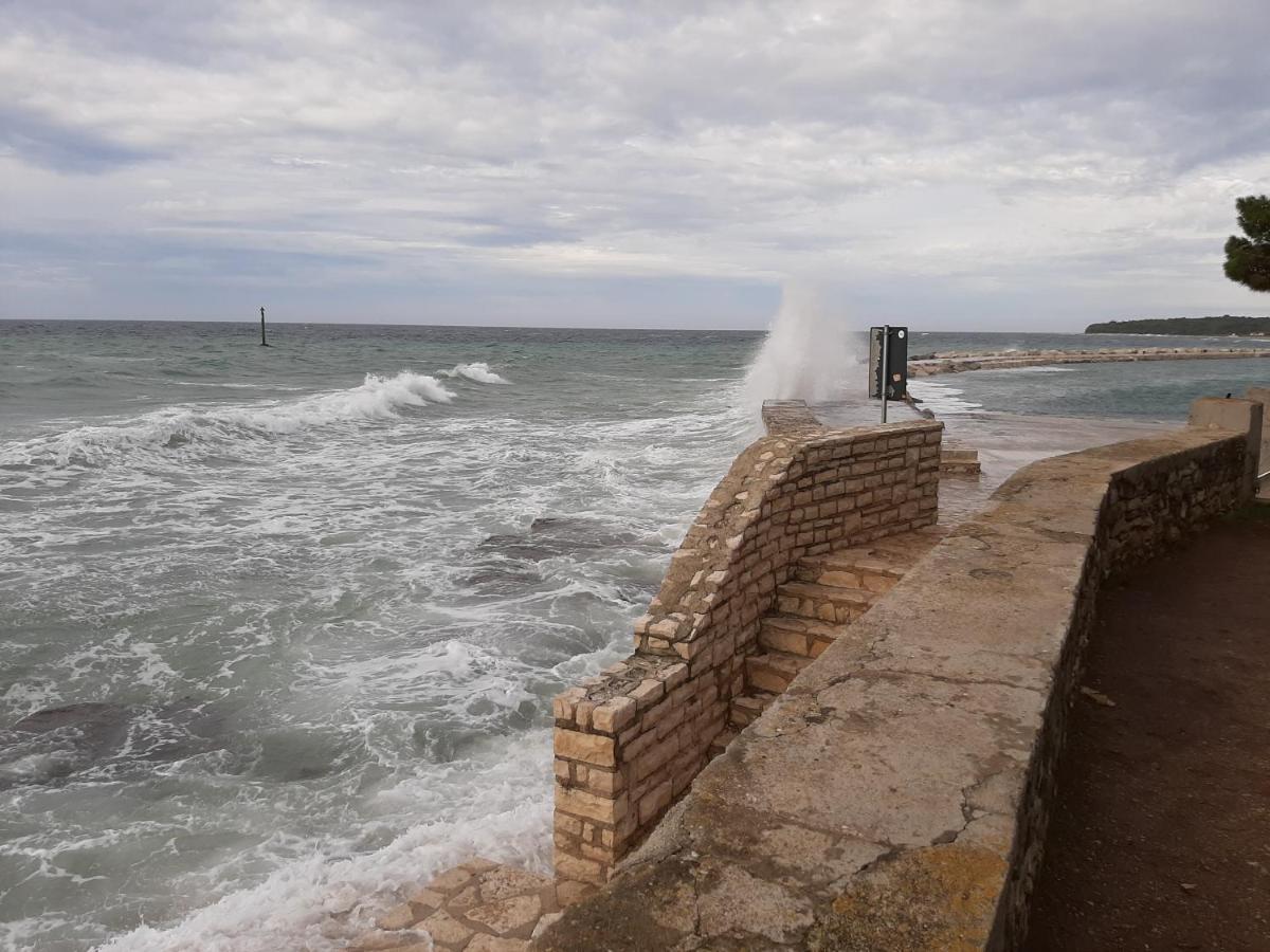 Medo Apartment Novigrad  Luaran gambar